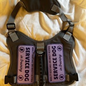 Gray Service Dog Vest with Purple Patches